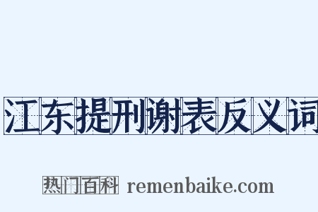 江东提刑谢表反义词是什么意思的图片